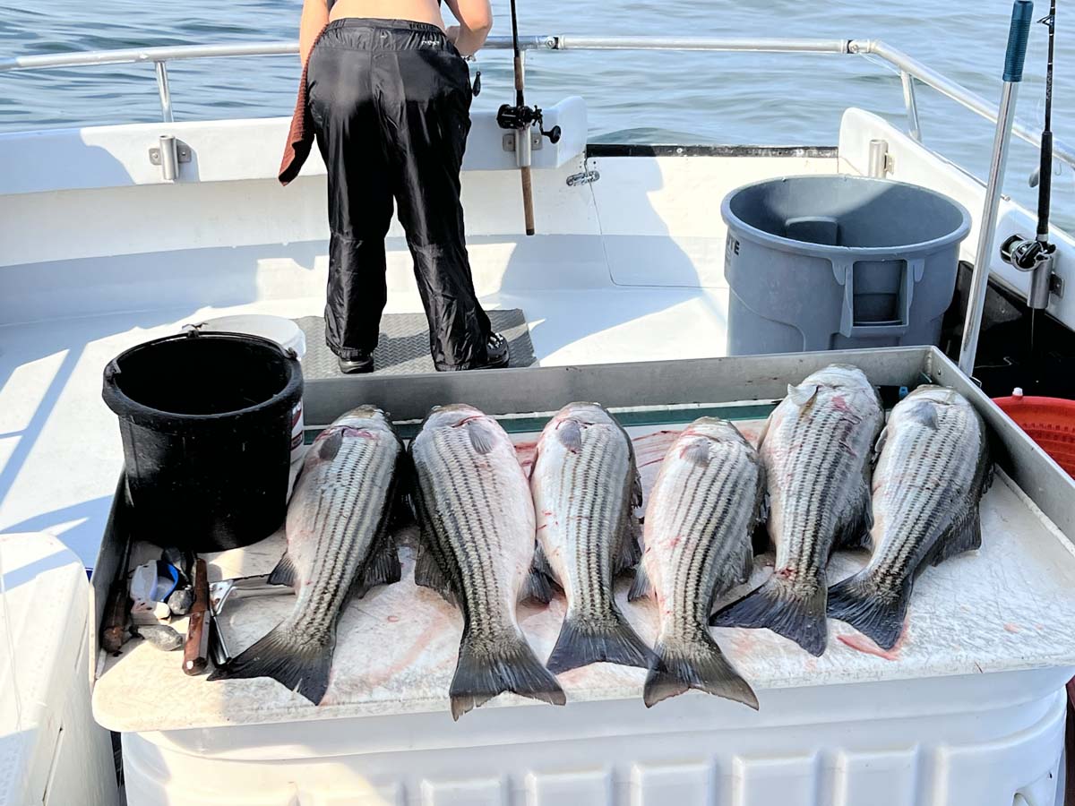 fishing Long Island Sound