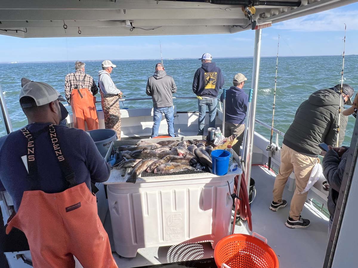 fishing Long Island Sound
